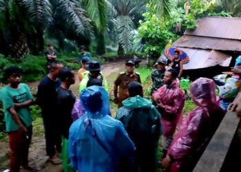 BKSDA Sumbar lakukan pengecekan lokasi ternak warga di Pasaman diterkam harimau (Foto: Instagram BKSDA Sumbar)