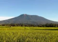 Gunung Marapi (foto: britannica)