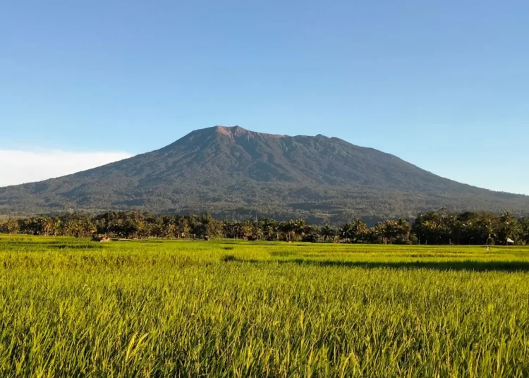 Gunung Marapi (foto: britannica)