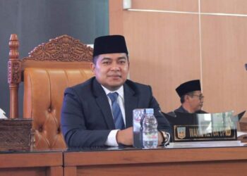 Ketua DPD PAN Kabupaten Dharmasraya Ade Sudarman.