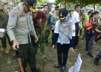 Penanaman pohon cemara laut secara simbolis di Pantai Danau Cimpago, Jumat (26/4/2024).