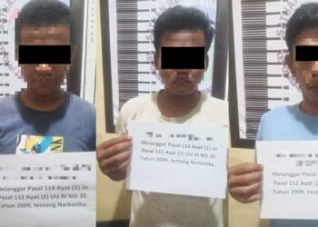 3 pelaku pengedar narkoba di Dharmasraya ditangkap polisi.