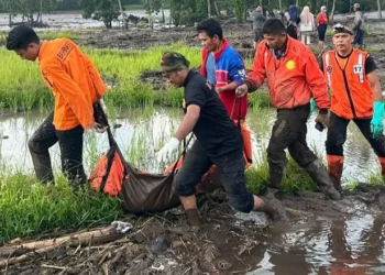 Petugas gabungan mengevakuasi jenazah korban banjir lahar dingin di Kaki Gunung Marapi, Kabupaten Agam, Minggu (12/5/2024). Ist