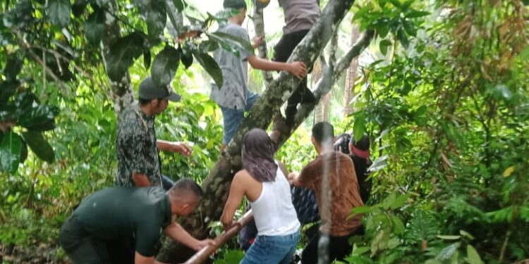 Evakuasi korban di Nagari Gunung Padang Alai, Kabupaten Padang Pariaman pada Selasa (7/5/2024).