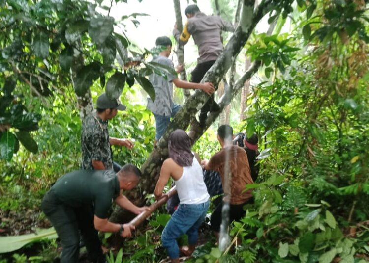Evakuasi korban di Nagari Gunung Padang Alai, Kabupaten Padang Pariaman pada Selasa (7/5/2024).