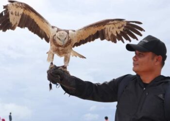 Kepala Dinas Pertanian Dharmasraya, Darisman.