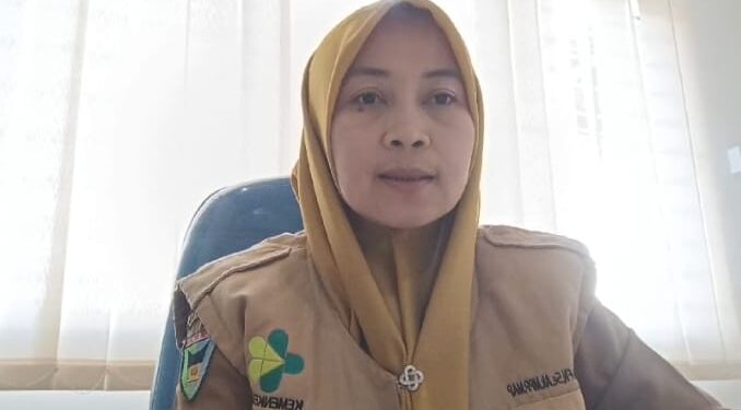 Plt. Kepala Dinas Kesehatan Pessel, Intan Novia Fatma Nanda