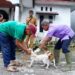 Pemko Padang Panjang vaksinasi Hewan Penularan Rabies (foto: Diskominfo Kota Padang Panjang)