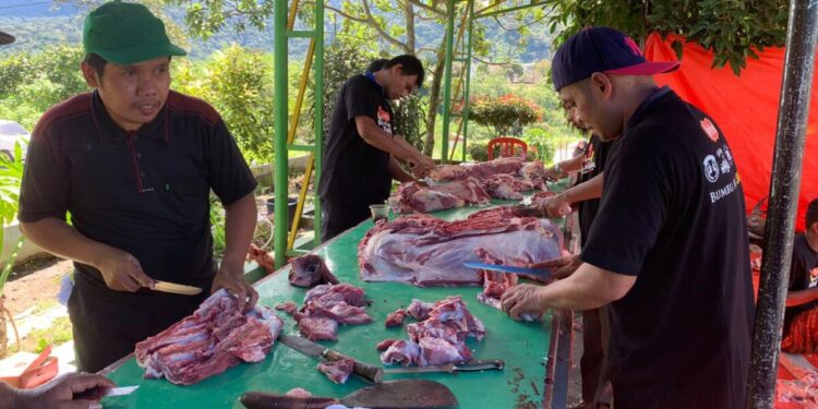 Pemotongan hewan kurban hari kedua di Kota Padang Panjang, Selasa (18/6).