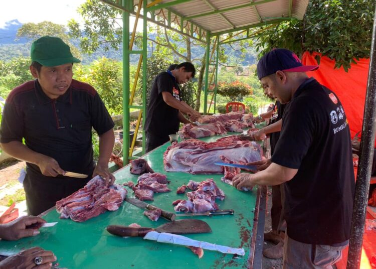 Pemotongan hewan kurban hari kedua di Kota Padang Panjang, Selasa (18/6).