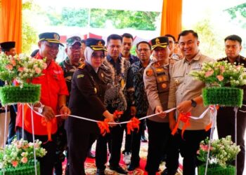 Soft Launching Mal Pelayanan Publik Kabupaten Dharmasraya.