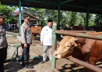 Kapolres Pasaman Barat AKBP Agung Tribawanto mengunjungi Pasar Ternak Simpang Tiga Ophir, Kenagarian Ophir Kecamatan Luhak Nan Duo pada Jumat (14/6/2024).