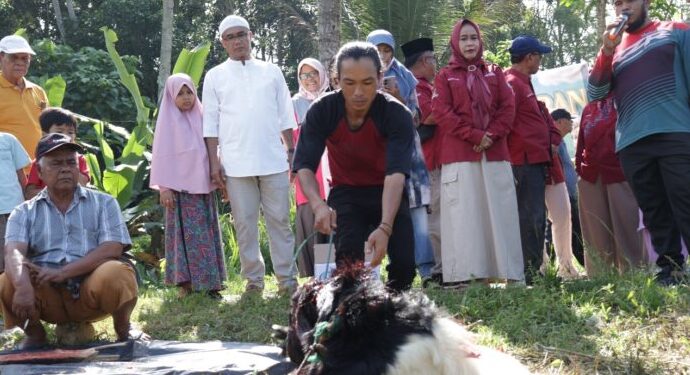 Pelaksanaan kurban di Tangah Padang Kelurahan Balai Panjang, Kota Payakumbuh, Selasa (18/6/2024).