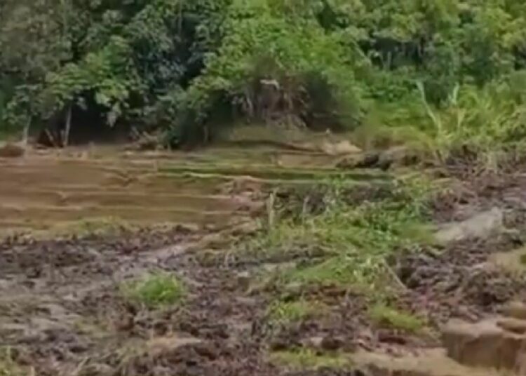 Tangkapan layar video detik-detik likuifaksi di Nagari Sungai Landia, Kecamatan IV Koto Kabupaten Agam, Kamis (20/6).