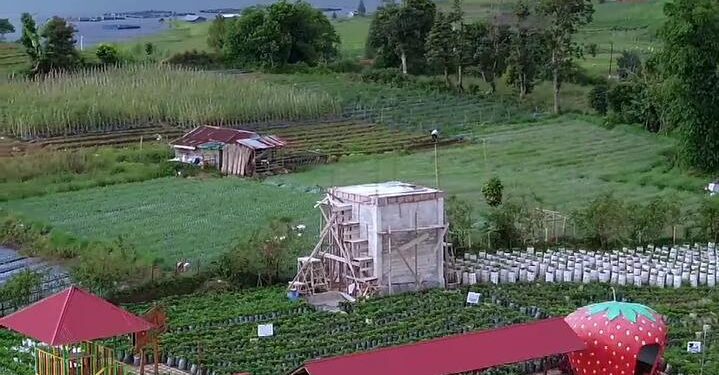 Kebun Strawberry Alahan Panjang