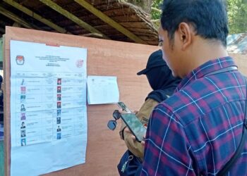 Warga melihat daftar calon saat PSU di salah satu TPS di Pesisir Selatan, Sabtu (13/7).