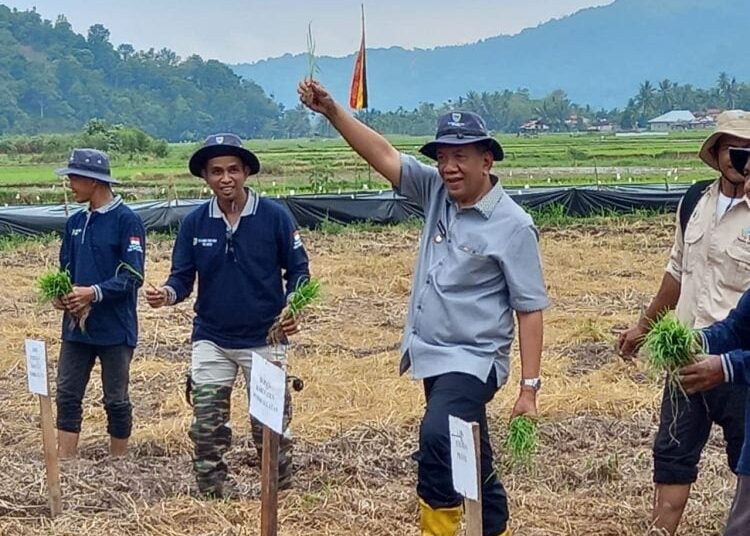 Bupati Rusma Yul Anwar saat peluncuran tanam padi serentak di Pesisir Selatan.