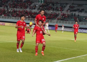 Timnas Indonesia U-19 (foto: PSSI)