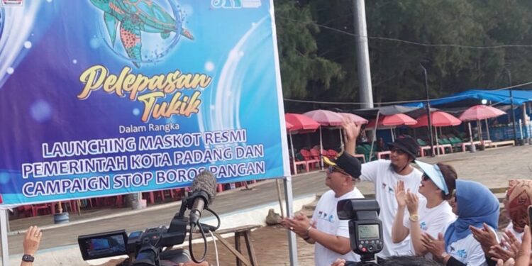 Peluncuran maskot resmi Kota Padang tersebut ditandai dengan pelepasan 355 tukik atau anak penyu di Pantai Air Manis pada Senin (5/8/2024) sore.