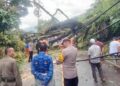 Pohon tumbang di Jalan Raya Padang-Painan di Kelurahan Gates Kecamatan Padang Selatan, Kota Padang, Selasa (17/9).