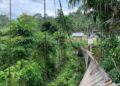 Jembatan gantung di Jorong Lubuk Karak, Nagari Lubuk Karak Kecamatan IX Koto Kabupaten Dharmasraya ambruk pada Minggu (15/9)