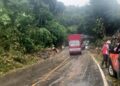 Pohon tumbang di Jalan Raya Padang-Painan