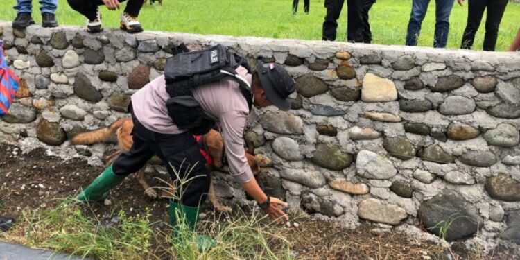 Foto Polisi melakukan pencarian barang bukti dan jejak pelaku pembunuhan Nia Kurnia Sari dengan menerjunkan anjing pelacak K9.