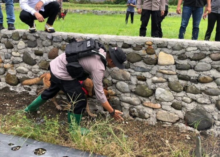 Foto Polisi melakukan pencarian barang bukti dan jejak pelaku pembunuhan Nia Kurnia Sari dengan menerjunkan anjing pelacak K9.