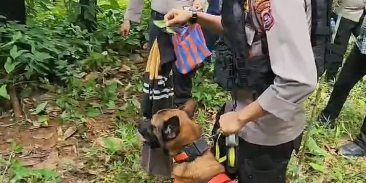 Polres Padang Pariaman dan Polda Sumbar masih buru pelaku pembunuhan Nia gadis penjaja gorengan