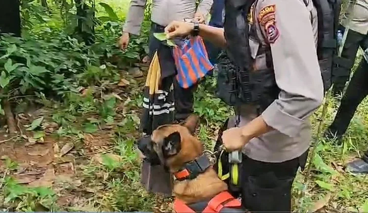 Polres Padang Pariaman dan Polda Sumbar masih buru pelaku pembunuhan Nia gadis penjaja gorengan