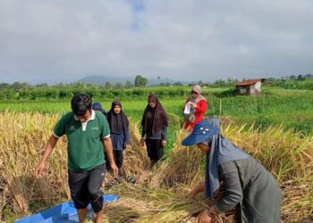 Para petani di Padang Panjang (foto: Diskominfo Padang Panjang).