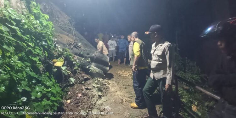 Sejumlah pohon tumbang di Kota Padang pada Kamis (10/10).