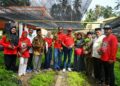 Panen perdana bibit kaliandra di nursery Hutan Kemasyarakatan (HKm) Sialangan, Kecamatan V Koto Timur, Kabupaten Padang Pariaman pada Jumat (25/10).