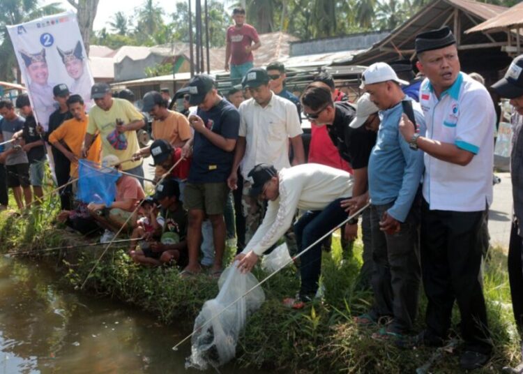 Calon Wakil Gubernur Sumbar, Ekos Albar, menebar benih ikan nila di saluran irigasi Nagari Bisati Sungai Sariak, Kecamatan VII Koto, Padang Pariaman, Kamis (24/10/2024).