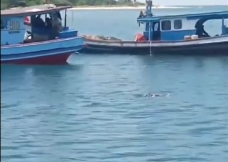 Penemuan mayat terapung di laut di Pasaman Barat, Selasa (8/10)