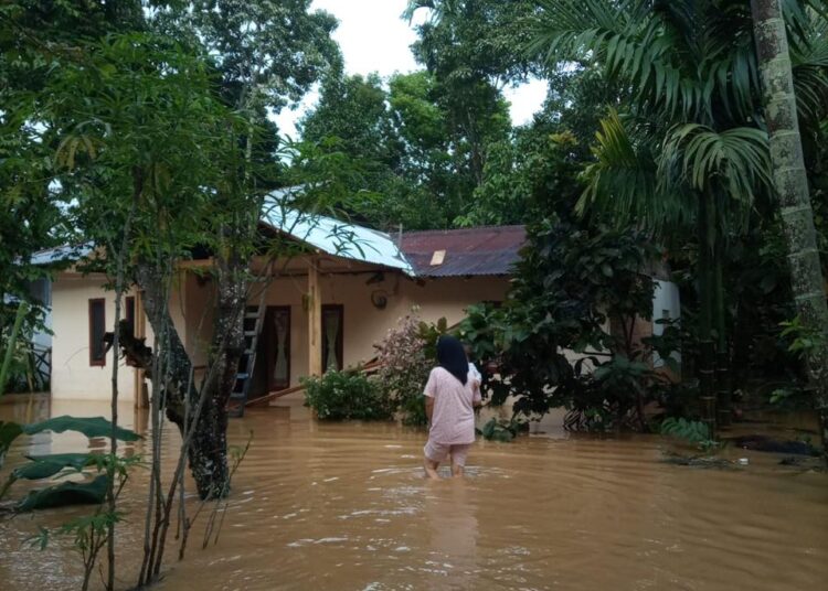 Banjir melanda wilayah Kenagarian Pangkalan Koto Baru, Kecamatan Pangkalan Koto Baru, Kabupaten Limapuluh Kota, Sumatera Barat