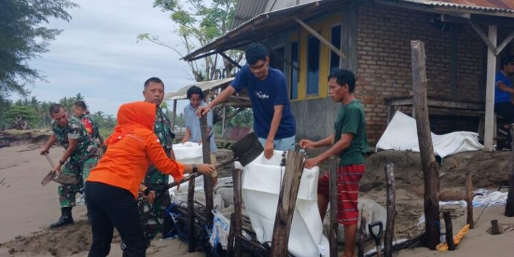 BPBD Kota Padang bersama tim gabungan membuat tanggul untuk antisipasi abrasi susulan di Pantai Pasia Jambak.