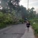 Pohon tumbang di Kuranji Kota Padang, Selasa (22/10)