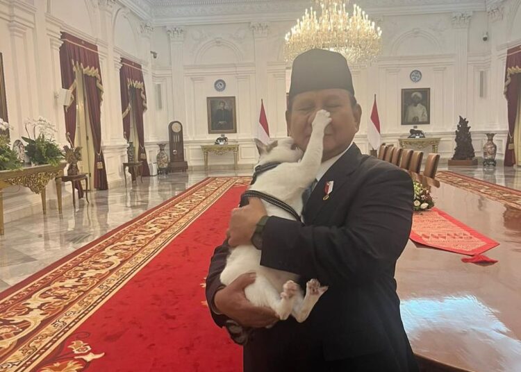 Momen Presiden Prabowo bersama kucingnya Bobby Kertanegara (foto: Instagram/ prabowo)