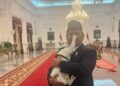 Momen Presiden Prabowo bersama kucingnya Bobby Kertanegara (foto: Instagram/ prabowo)