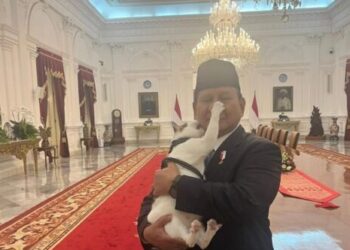 Momen Presiden Prabowo bersama kucingnya Bobby Kertanegara (foto: Instagram/ prabowo)