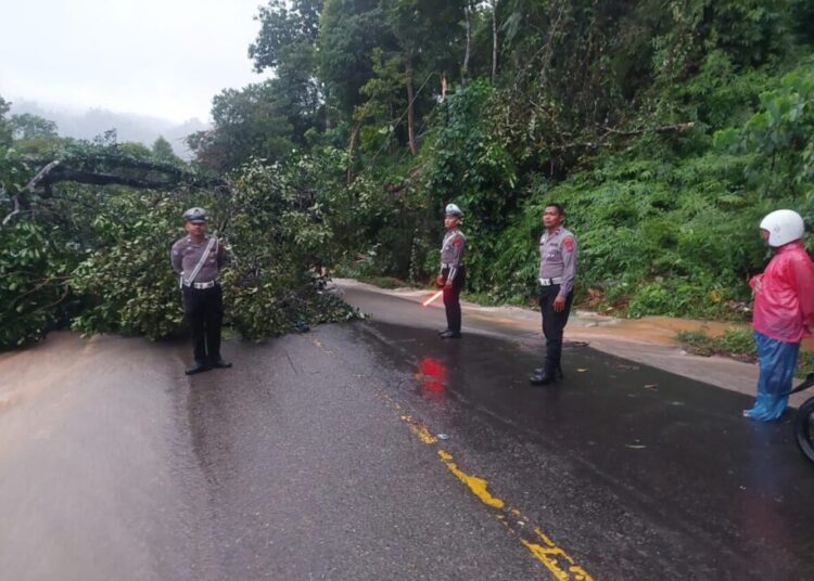 Pohon tumbang dan longsor yang terjadi pada Jumat (17/1/2025) pukul 17.00 WIB menutup jalan lintas Sumatera di Bukit Pulai, Kampung Jalamu, Nagari IV Koto Hilia, Kecamatan Batang Kapas, Pesisir Selatan. FOTO: Dokumentasi Polres Pesisir Selatan.