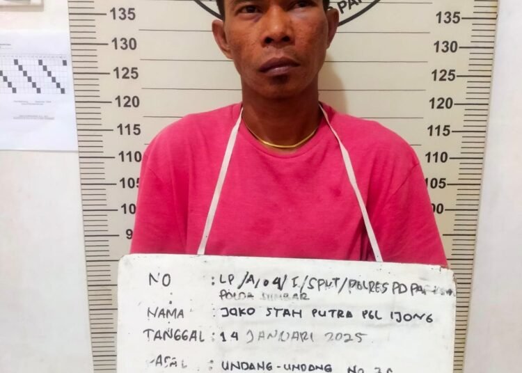 Pelaku diamankan di Mapolres Padang Pariaman.