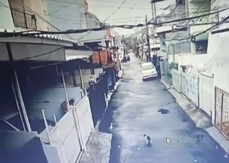 Rekaman CCTV detik-detik pria menembak seekor kucing.