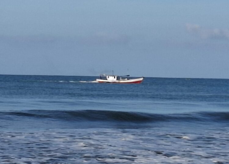 Satu kapal pukat harimau mini beroperasi di perairan Kecamatan Ranah Pesisir, Pesisir Selatan, Sabtu (1/2). IST