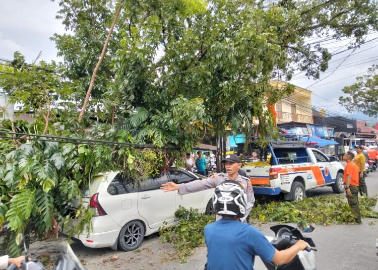 Satu mobil tertimpa pohon tumbang di Kota Padang pada Senin (17/2).