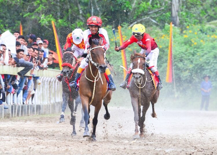 Pacu Kuda di Sumbar (foto: ist)