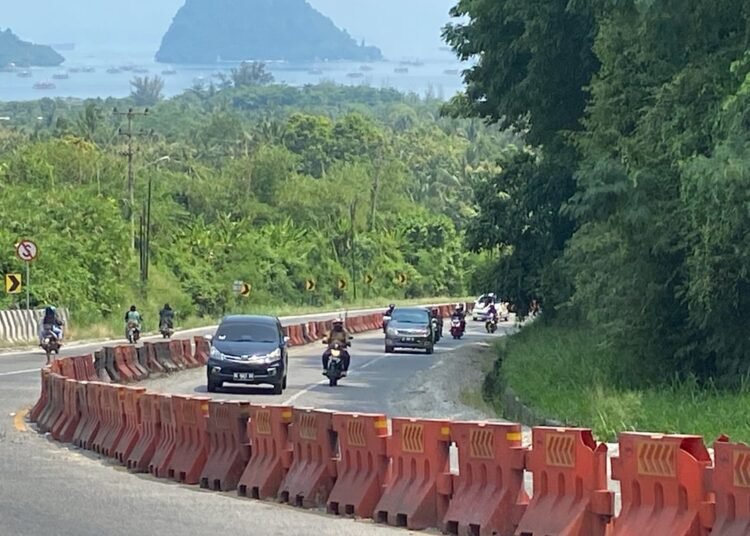 Jalan Lintas Sumatera di Lampung Selatan (foto: KOMPAS.COM/TRI PURNA JAYA)