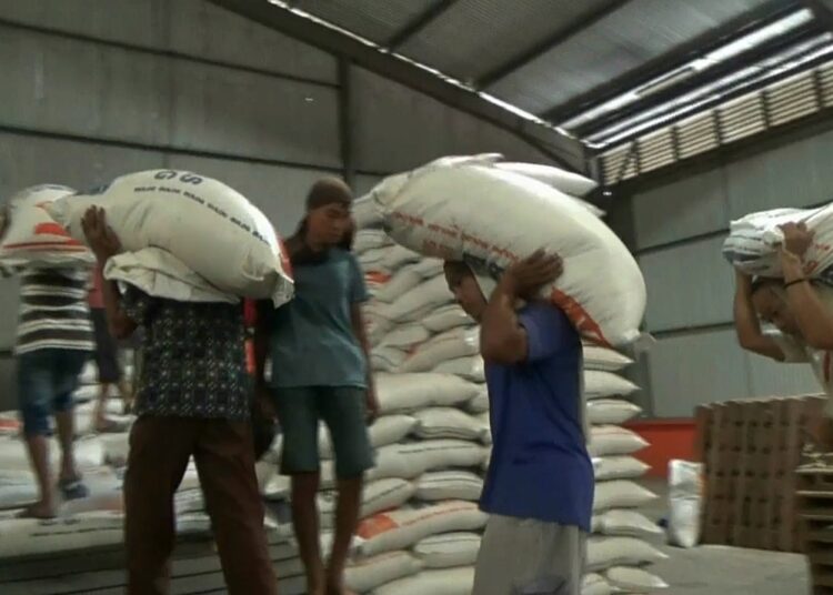 Pekerja memindahkan beras di Gudang Bulog Sumbar, Rabu (5/3). Foto: Juniar Gulo/Sumbarkita