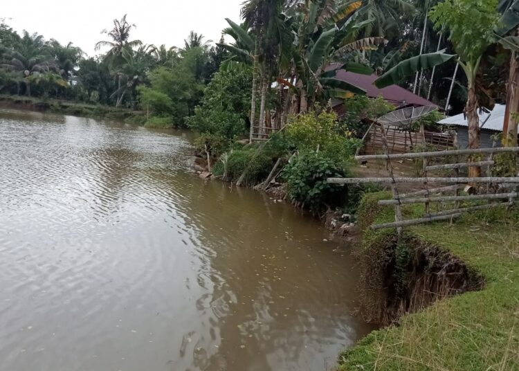 Rumah warga di Kampung Padang Laweh, Nagari Amping Parak, Kecamatan Sutera, Pesisir Selatan, nyaris terban dikikis arus sungai, Minggu (9/3). Foto: IST